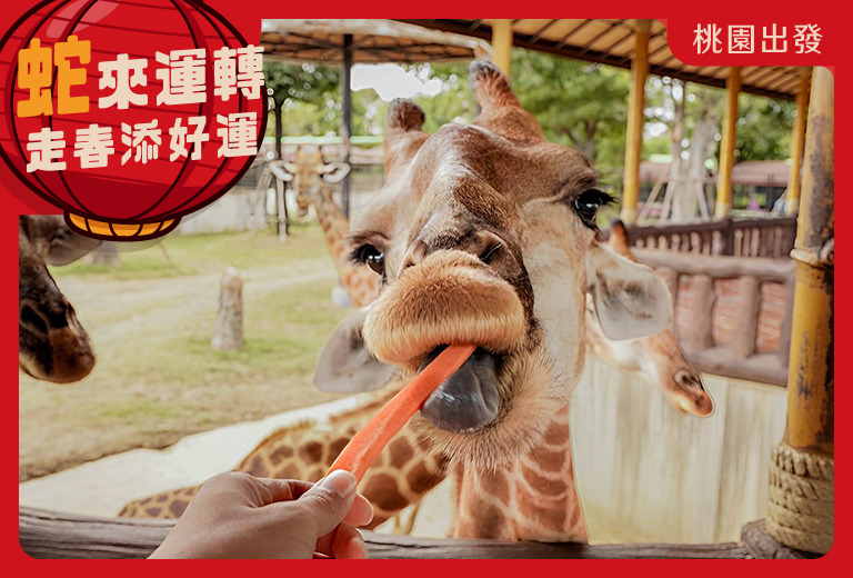 泰國【曼谷】大城泰經典5日(升等兩晚5星 無購物)