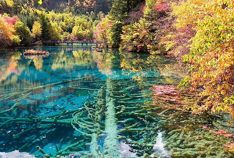 《文化參訪團》風動九寨溝８日-單段高鐵、黃龍、熊貓基地、峨嵋山金頂、峨嵋秀