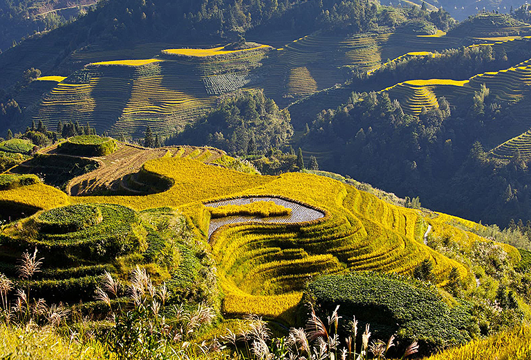 《文化參訪團》印象桂林6日【龍脊梯田、船遊灕江、五星香格里拉】