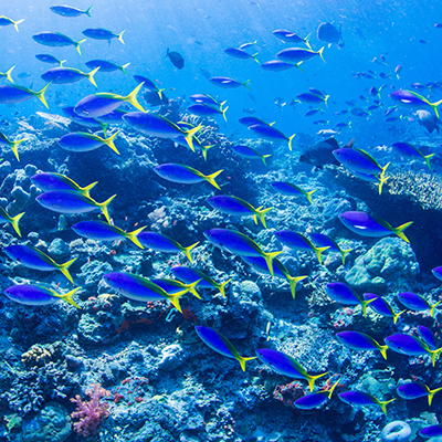 生命就該浪費在美好事物上，只要您願意為它停留。