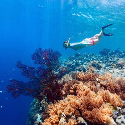 生命就該浪費在美好事物上，只要您願意為它停留。