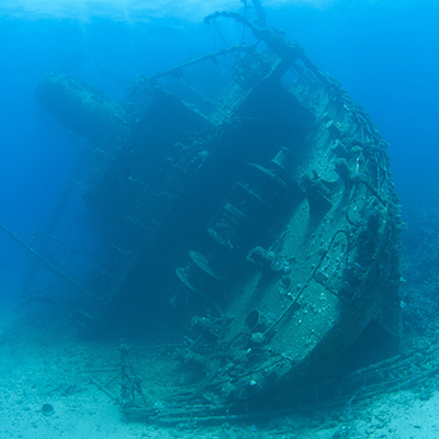 生命就該浪費在美好事物上，只要您願意為它停留。