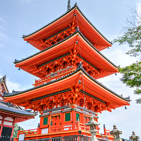 生命就該浪費在美好事物上，只要您願意為它停留。