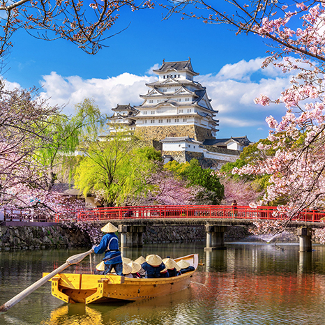 生命就該浪費在美好事物上，只要您願意為它停留。