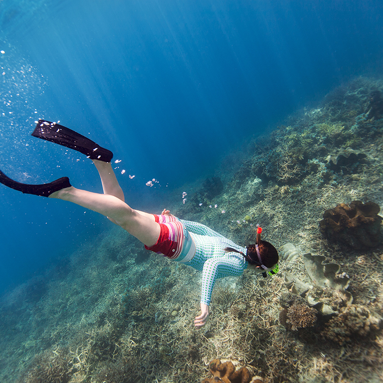 干貝城 Giant Clam Farm