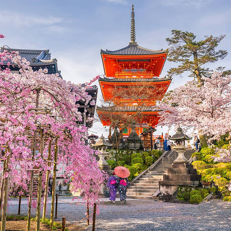 京都 ｜ きょうと