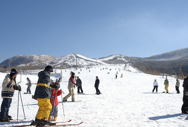 【期間限定】冬戀九州熊本×玩雪採草莓×三大蟹溫泉仙境五日～九重森林公園‧湯布院‧柳川遊船‧太宰府天滿宮(熊本進出-星宇)