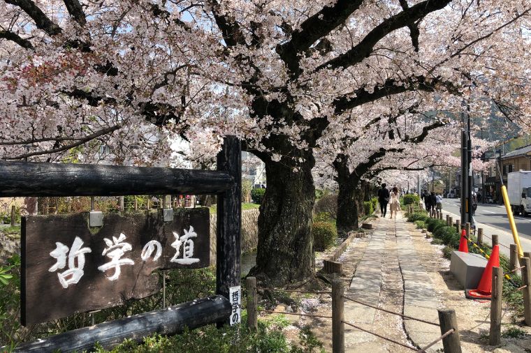 神戶櫻花物語×螃蟹國產牛名勝五日｜絕景姬路城‧清水寺‧水上巴士‧布引香草園纜車(台中出發-星宇)