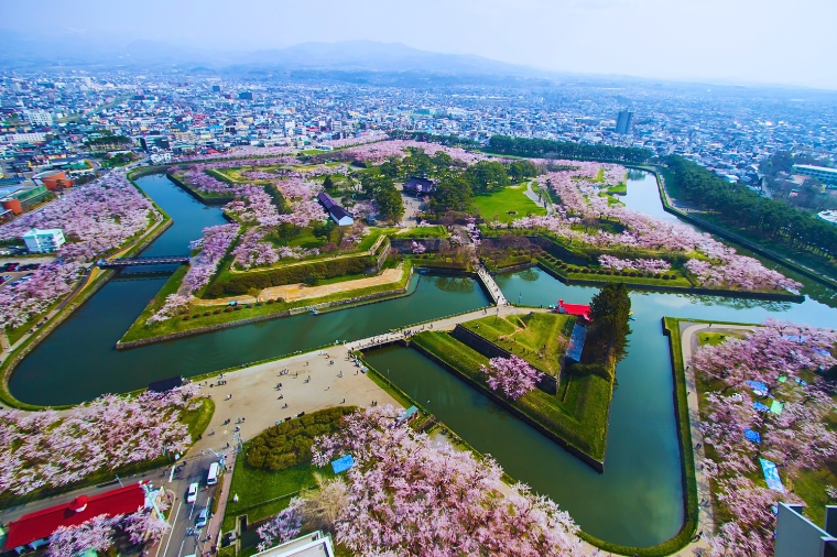 北海道櫻花之旅+北海道神宮+尼克斯海洋公園+函館百萬夜景+三大蟹和牛酒水六日(泰越捷)