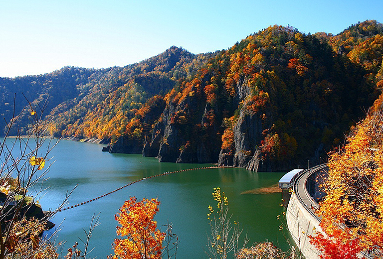 北海道大雪山黑岳纜車×洞爺湖花火節×三大蟹賞楓五日～北一硝子館‧白金青池‧富良野薰衣草‧札幌啤酒博物館‧昭和新山(亞航)