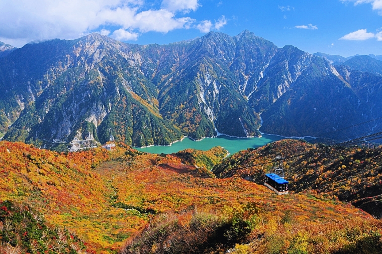 台中名古屋~楓紅立山黑部・上高地・合掌村・名花之里夢幻點燈・郡上八幡・金澤兼六園・高山老街五日(星宇)