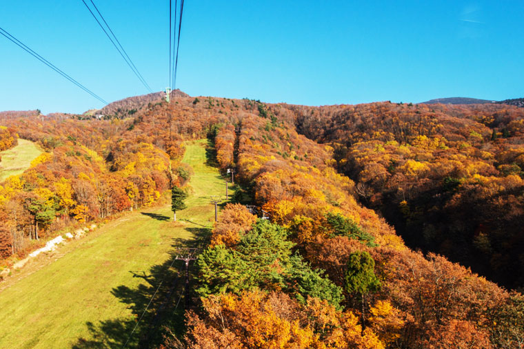 賞楓賞雪東北限定～藏王纜車+狐狸村+銀山溫泉街+兩晚溫泉五日～大內宿古街‧水戶偕樂園‧豬苗代湖‧阿武隈洞(酷航)