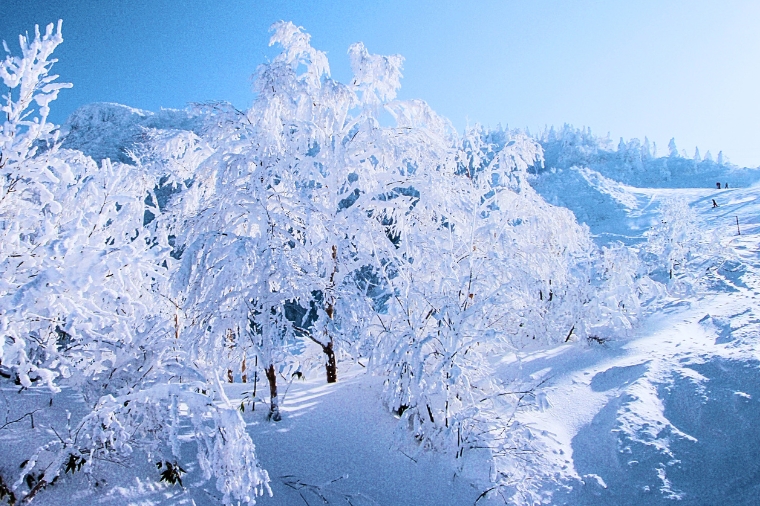 台中東北天空雪怪之路‧藏王樹冰+世界最大‧雪中藏王狐狸村溫泉六日