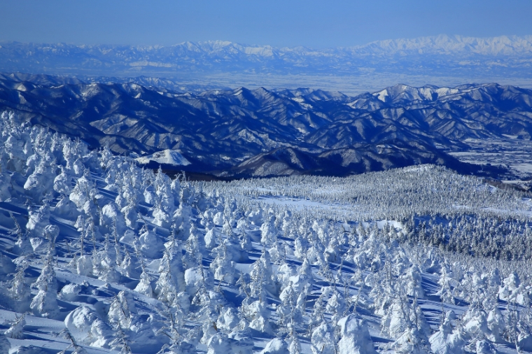 東北藏王樹冰・雪樂園・採草莓・藏王狐狸村・大內宿・會津若松城・銀山溫泉街・松島遊船・百選溫泉四晚五日(星宇)