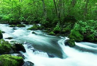 2026夏綠東北~奧入瀨溪清流散策.秋田內陸鐵道山林旅情.弘前城五日遊~飯店升級享受