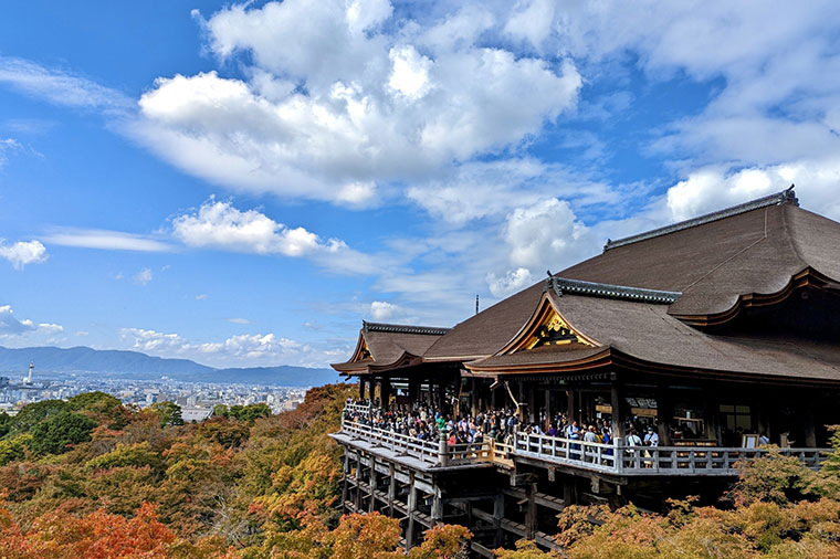 台北神戶 大阪三都巡禮+國產牛吃到飽+須磨海洋世界+清水寺+伏見稻荷+奈良鹿五日(長榮)