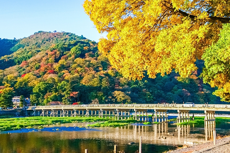 大阪三都精選之旅+國產牛吃到飽超值休閒五日~嵐山渡月橋+清水寺+伏見稻荷大社+奈良鹿公園(星宇)