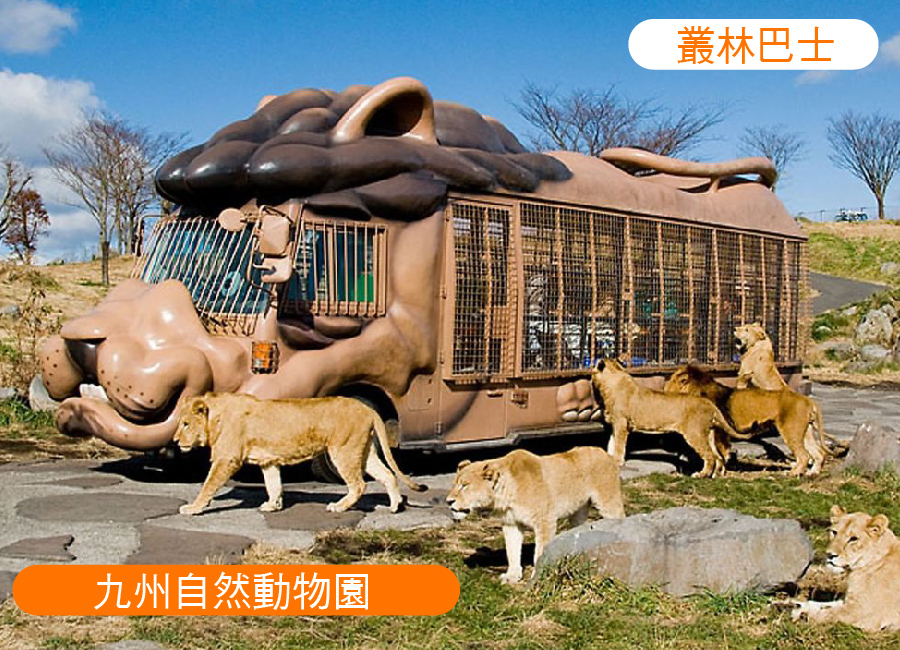 高雄出發九州雙列車溫泉5日.由布院之森列車.自然動物園.柳川遊船.萌熊電車.三大螃蟹吃到飽