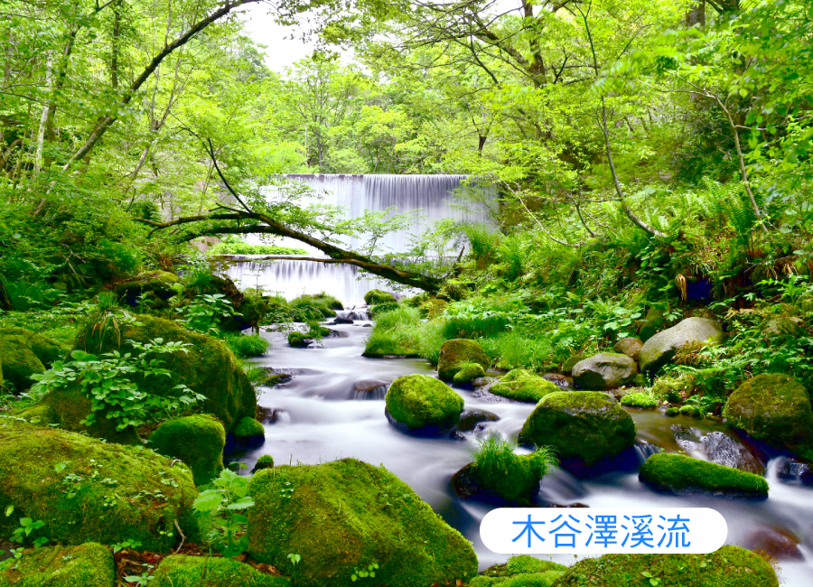 直飛鳥取秘境山陰三溫泉5日.法式饗宴.螃蟹.柯南列車.出雲大社.木谷澤.浦富遊船.巫女獻舞.鳥取砂丘.玉造溫泉