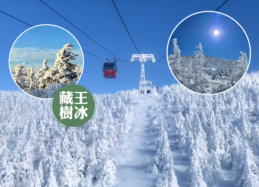 雪夢幻東北三溫泉5日.樹冰纜車.銀山溫泉.雪上活動.藏王狐狸村.狔鼻溪遊船.採草莓.螃蟹和牛（花卷進仙台出）