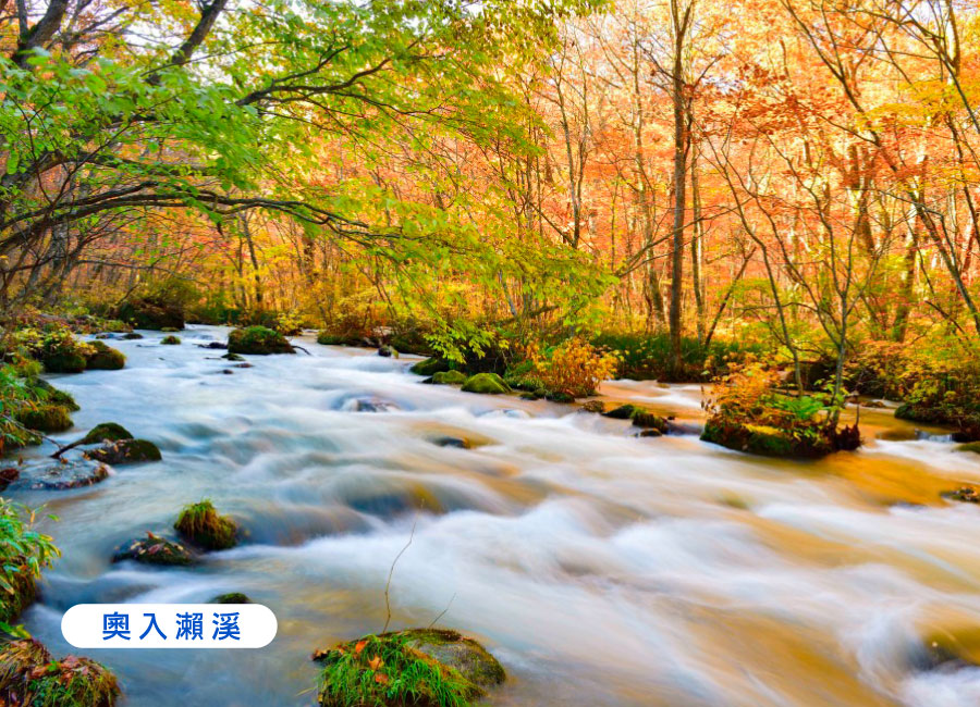 早鳥折兩千紅葉絮語.東北湯宿巡禮5日.奧入瀨紅葉.楓景鐵道.抱返溪谷.採果樂.狔鼻溪遊船.銀山溫泉.(仙台進花卷出)