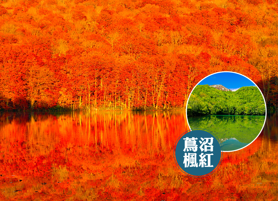 秘境秋韻東北賞楓7日.秘境奧入瀨溪.藏王纜車.蔦沼紅葉.猊鼻溪遊船.銀山溫泉.採蘋果.溫泉美食(日本航空)