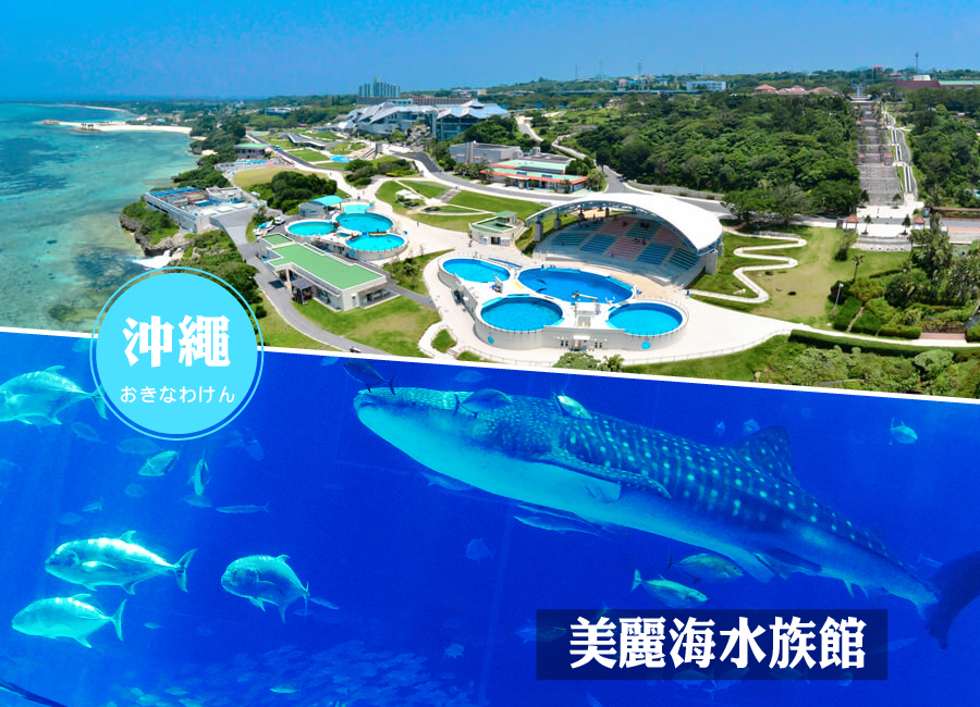 台中華航沖繩遊4日.世界最美之海水族館.星野下午茶.波之上神宮‧購物趣