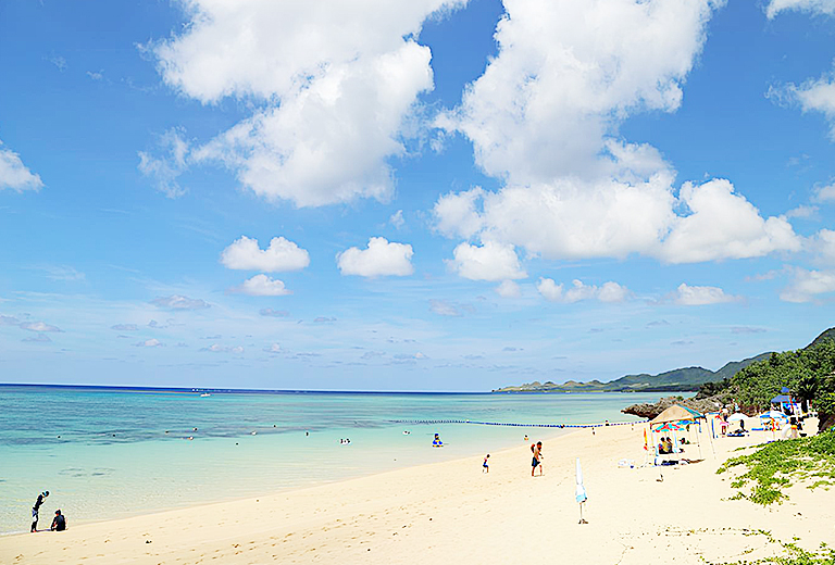 遇見南之美花~石垣島自由行五天(虎航-每周六)