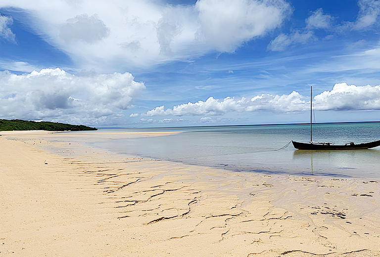 遇見南之美花~石垣島自由行四天(虎航-每周三)