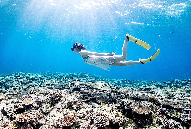 石垣島自由行五天(虎航-每周六)