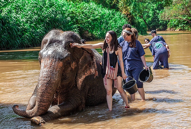 【清邁清萊】四人出發~蘭娜古城、金三角、白廟、藍廟、天使瀑布芬多精五日(贈泰式按摩+無購物)