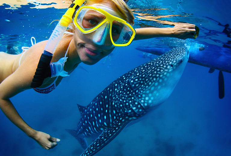 宿霧客製化需求單