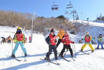 《聖誕+元旦促銷》星意愛釜山一起滑雪去5天(不走人蔘保肝)~海景汗蒸幕、海岸列車【台中星宇】