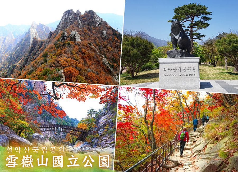 楓舞戀雪嶽韓國5日-紅葉波波草.首爾天空公園.雪嶽山纜車.愛情小路.南怡島.烏竹軒韓屋村.網美咖啡廳.韓美食