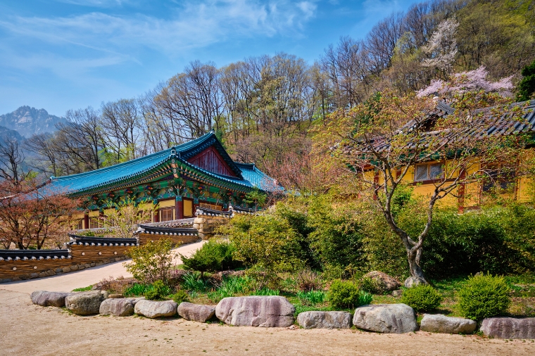 雪嶽楓情戀韓國五天《不走人蔘保肝》雪嶽山國家公園+新興寺+青銅大佛(季節性賞楓)、南怡島、德壽宮【松山泰瑞】